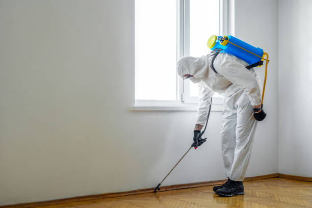 Best Organic or Eco-Friendly Pest Control  in Bnchard, LA